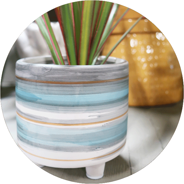 A small light blue, white and gray striped pot with a spiky houseplant in it.